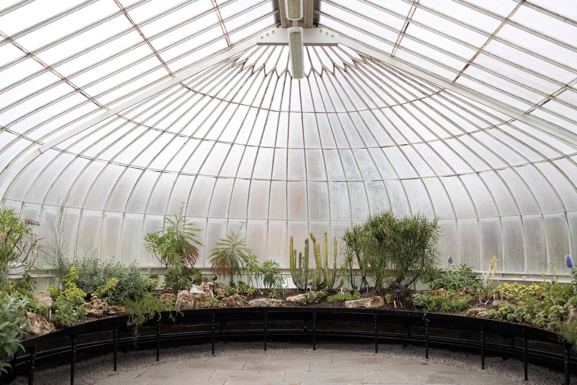 🌳 글래스고 식물원 (Glasgow Botanic Gardens)